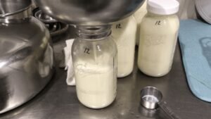 Understanding the Milk Antibiotic Test: Ensuring Dairy Quality and Safety